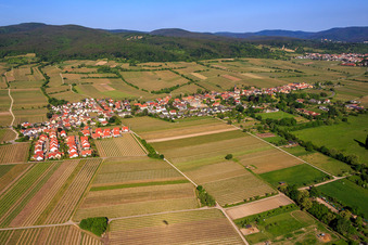 Vue aérienne de Vue d'ensemble de la ville depuis l'est à Forst an der Weinstraße dans le département Rhénanie-Palatinat, Allemagne