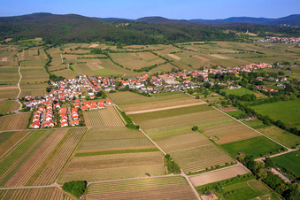 Vue aérienne de Vue d'ensemble de la ville depuis l'est à Forst an der Weinstraße dans le département Rhénanie-Palatinat, Allemagne
