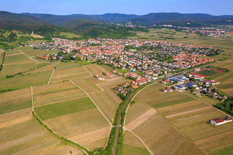Vue aérienne de Vue d'ensemble de la ville depuis le sud-est à Wachenheim an der Weinstraße dans le département Rhénanie-Palatinat, Allemagne