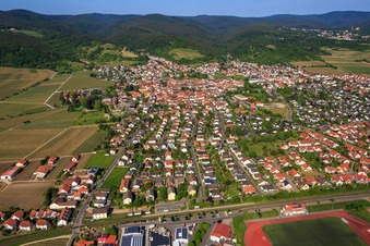 Vue aérienne de Vue d'ensemble de la ville depuis l'est à Wachenheim an der Weinstraße dans le département Rhénanie-Palatinat, Allemagne