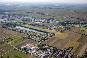 Vue aérienne de Camping Almensee à l'aérodrome à le quartier Ungstein in Bad Dürkheim dans le département Rhénanie-Palatinat, Allemagne