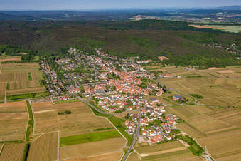 Vue aérienne de Champs agricoles et terres agricoles à Weisenheim am Berg dans le département Rhénanie-Palatinat, Allemagne