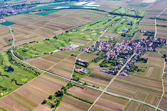 Vue aérienne de Terrain de golf à Dackenheim dans le département Rhénanie-Palatinat, Allemagne