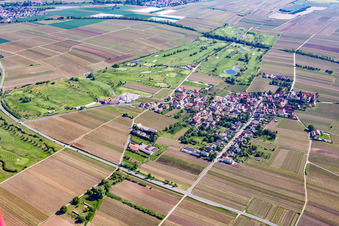 Vue aérienne de Terrain de golf à Dackenheim dans le département Rhénanie-Palatinat, Allemagne