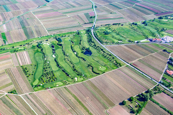 Vue oblique de Terrain de golf à Dackenheim dans le département Rhénanie-Palatinat, Allemagne