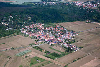 Vue aérienne de Vue du village depuis le sud à Bobenheim am Berg dans le département Rhénanie-Palatinat, Allemagne