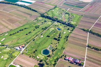 Vue d'oiseau de Terrain de golf à Dackenheim dans le département Rhénanie-Palatinat, Allemagne