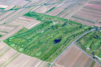 Image drone de Terrain de golf à Dackenheim dans le département Rhénanie-Palatinat, Allemagne