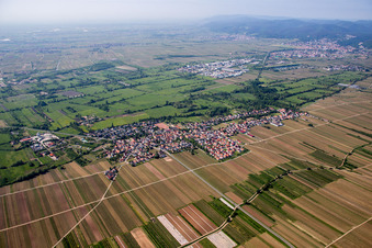 Vue aérienne de Champs agricoles et terres agricoles à Erpolzheim dans le département Rhénanie-Palatinat, Allemagne