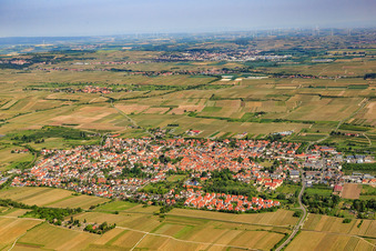Vue aérienne de Vue d'ensemble de la ville depuis le sud-est à Freinsheim dans le département Rhénanie-Palatinat, Allemagne