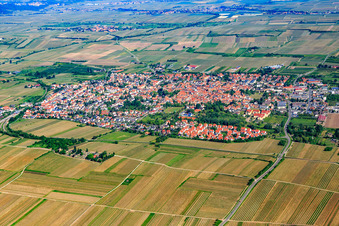 Vue aérienne de Vue d'ensemble de la ville depuis le sud-est à Freinsheim dans le département Rhénanie-Palatinat, Allemagne