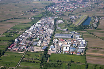 Vue aérienne de Zone industrielle de Bruchstr à Bad Dürkheim dans le département Rhénanie-Palatinat, Allemagne