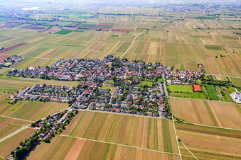 Vue aérienne de Vue d'ensemble du village depuis le nord à Friedelsheim dans le département Rhénanie-Palatinat, Allemagne
