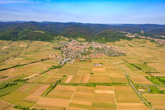 Vue aérienne de Vue de la ville depuis l'est à Wachenheim an der Weinstraße dans le département Rhénanie-Palatinat, Allemagne