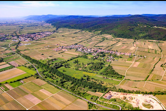 Vue aérienne de Vue du village avec Forster Bruch depuis le nord-est au-delà de la B271 à Forst an der Weinstraße dans le département Rhénanie-Palatinat, Allemagne