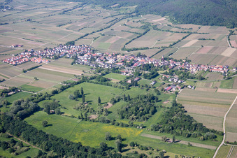 Vue aérienne de Village - vue entre le Forster Bruch et les vignobles à Forst an der Weinstraße dans le département Rhénanie-Palatinat, Allemagne