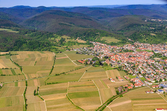 Vue aérienne de Vue de la ville depuis l'est à Wachenheim an der Weinstraße dans le département Rhénanie-Palatinat, Allemagne