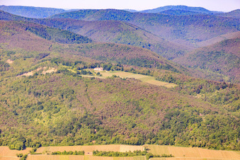 Vue aérienne de Domaine viticole Odinstal à Wachenheim an der Weinstraße dans le département Rhénanie-Palatinat, Allemagne