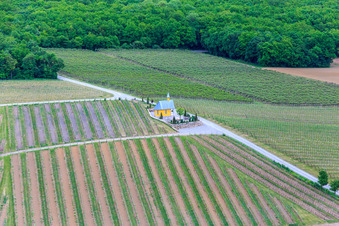 Vue aérienne de Chapelle du vignoble à Bergtheim dans le département Bavière, Allemagne