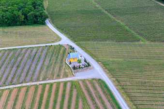 Photographie aérienne de Chapelle du vignoble à Bergtheim dans le département Bavière, Allemagne
