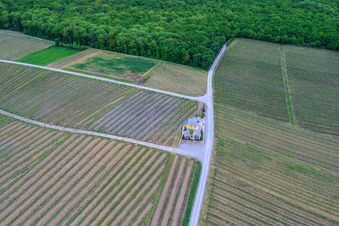 Vue oblique de Chapelle du vignoble à Bergtheim dans le département Bavière, Allemagne