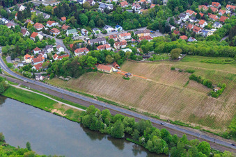 Vue aérienne de Vignobles de la Mainleite sur les rives du Main à Schweinfurt dans le département Bavière, Allemagne