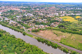 Vue aérienne de Vignobles de la Mainleite sur les rives du Main à Schweinfurt dans le département Bavière, Allemagne