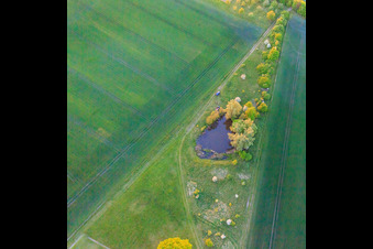 Vue aérienne de Biotope à Schwebheim dans le département Bavière, Allemagne
