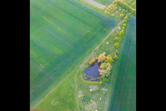Vue aérienne de Biotope à Schwebheim dans le département Bavière, Allemagne