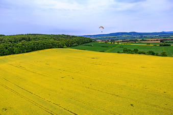Vue aérienne de Champ de colza XL à le quartier Güntersen in Adelebsen dans le département Basse-Saxe, Allemagne