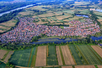 Vue aérienne de Vue du village depuis le nord à Neuburg am Rhein dans le département Rhénanie-Palatinat, Allemagne
