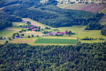 Vue aérienne de Rimmelsbacher Hof à le quartier Völkersbach in Malsch dans le département Bade-Wurtemberg, Allemagne