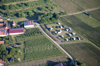 Vue aérienne de Place de parking pour camping-car à la ferme à Dierbach dans le département Rhénanie-Palatinat, Allemagne