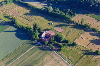 Vue aérienne de Haras d'Erlenbach à le quartier Drusweiler in Oberhausen dans le département Rhénanie-Palatinat, Allemagne