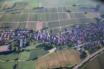 Vue aérienne de Niederhorbach dans le département Rhénanie-Palatinat, Allemagne