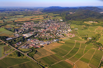 Vue aérienne de Vue de la ville depuis le nord-ouest à Bad Bergzabern dans le département Rhénanie-Palatinat, Allemagne