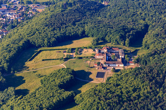 Vue oblique de Pension pour chevaux au monastère de Liebfrauenberg à Bad Bergzabern dans le département Rhénanie-Palatinat, Allemagne