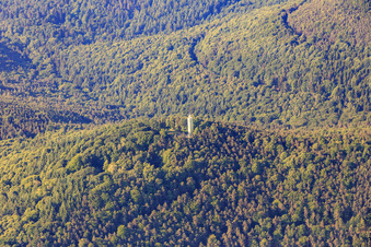 Vue aérienne de Tour de Stäffelsberg à Dörrenbach dans le département Rhénanie-Palatinat, Allemagne