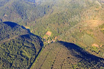 Vue aérienne de Vue du village dans la forêt du Palatinat depuis l'est à le quartier Reisdorf in Erlenbach bei Dahn dans le département Rhénanie-Palatinat, Allemagne