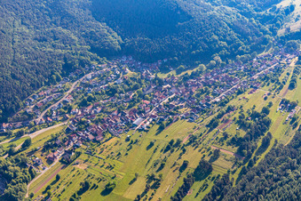 Birkenhördt dans le département Rhénanie-Palatinat, Allemagne vue d'en haut