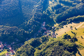 Vue aérienne de Quartier Blankenborn in Bad Bergzabern dans le département Rhénanie-Palatinat, Allemagne