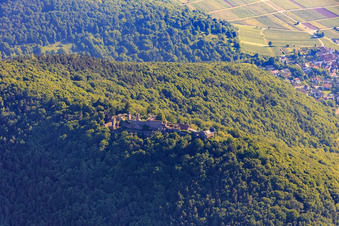 Vue aérienne de Madenburg à Eschbach dans le département Rhénanie-Palatinat, Allemagne