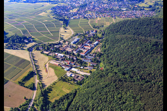 Vue aérienne de Hôpital palatin de psychiatrie et de neurologie de Norden à Klingenmünster dans le département Rhénanie-Palatinat, Allemagne