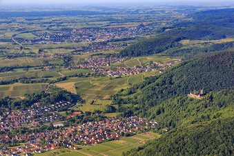Vue aérienne de Ruines du château de Landeck au bord du Haardt depuis le nord à Klingenmünster dans le département Rhénanie-Palatinat, Allemagne