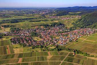Vue aérienne de Vue du Haardt depuis le nord à Klingenmünster dans le département Rhénanie-Palatinat, Allemagne