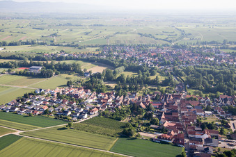 Photographie aérienne de Quartier Billigheim in Billigheim-Ingenheim dans le département Rhénanie-Palatinat, Allemagne