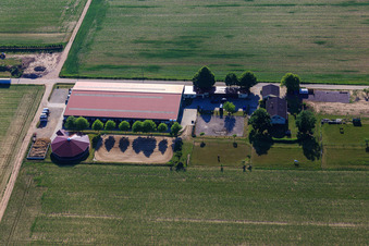 Vue aérienne de Centre équestre Fohlenhof à Steinweiler dans le département Rhénanie-Palatinat, Allemagne