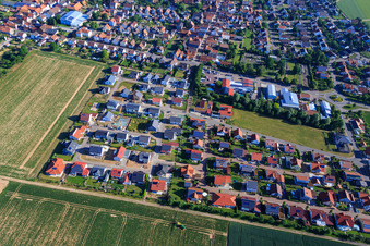 Vue aérienne de Nouvelle zone de développement Siedlerweg x Fichtenweg à Steinweiler dans le département Rhénanie-Palatinat, Allemagne