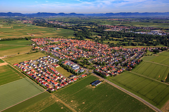 Vue aérienne de Vue d'ensemble de la ville depuis le sud-est à Steinweiler dans le département Rhénanie-Palatinat, Allemagne