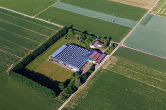 Photographie aérienne de Sudetenhof à Steinweiler dans le département Rhénanie-Palatinat, Allemagne